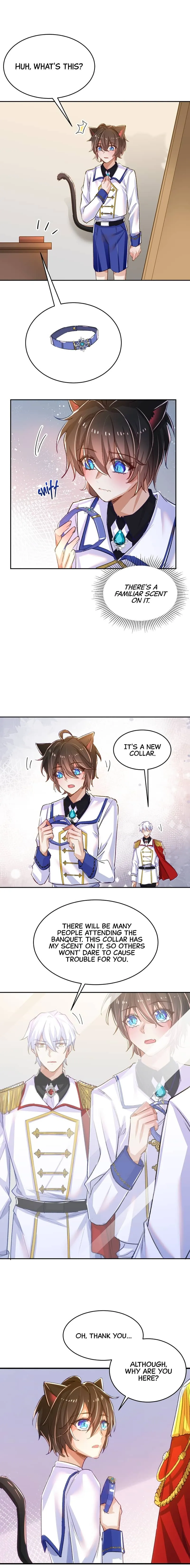 The Wolf Marshal’s Double Doting Chapter 16 page 5 - 