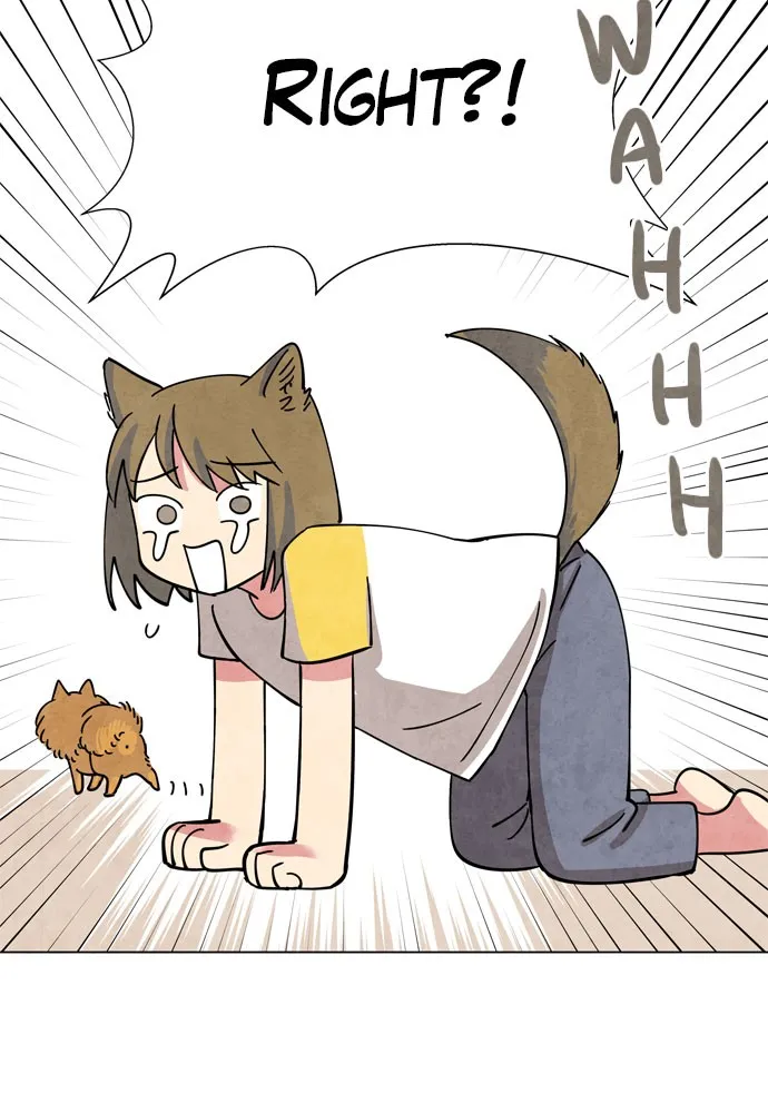 The Wolf & Red Riding Hood Chapter 1 page 90 - 
