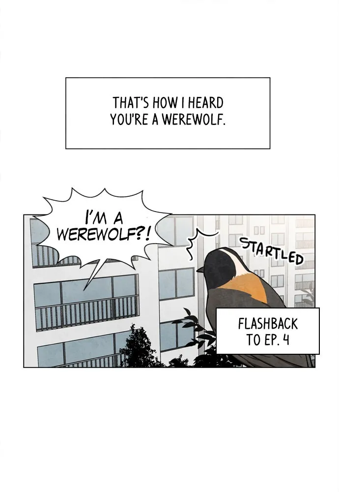 The Wolf & Red Riding Hood Chapter 11 page 36 - 