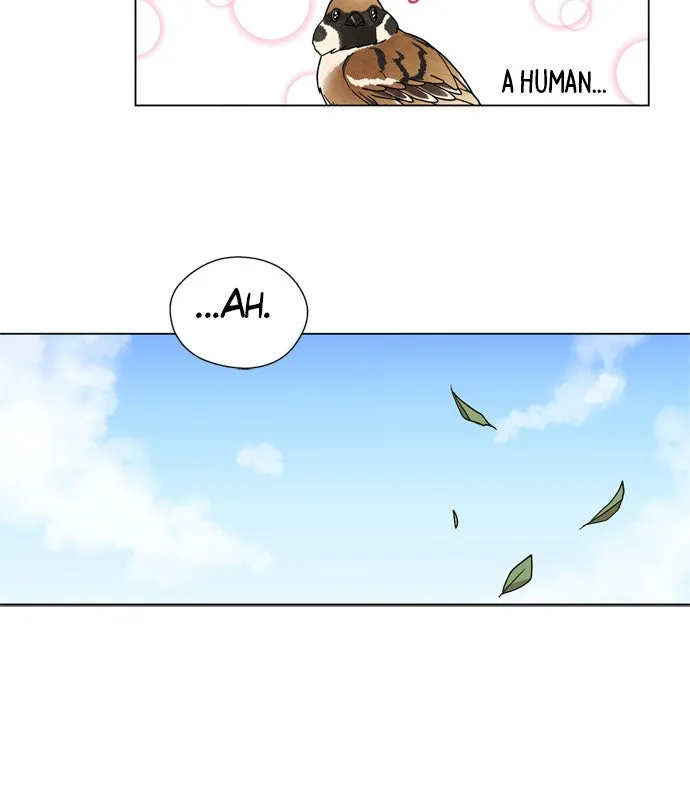 The Wolf & Red Riding Hood Chapter 2 page 61 - 
