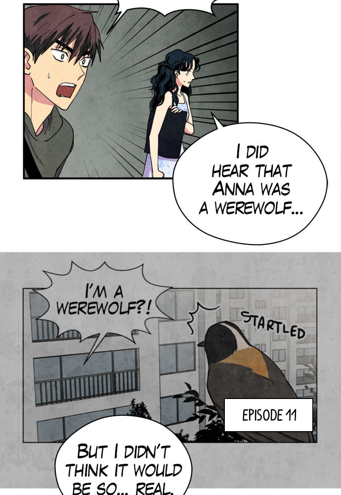 The Wolf & Red Riding Hood Chapter 22 page 37 - 