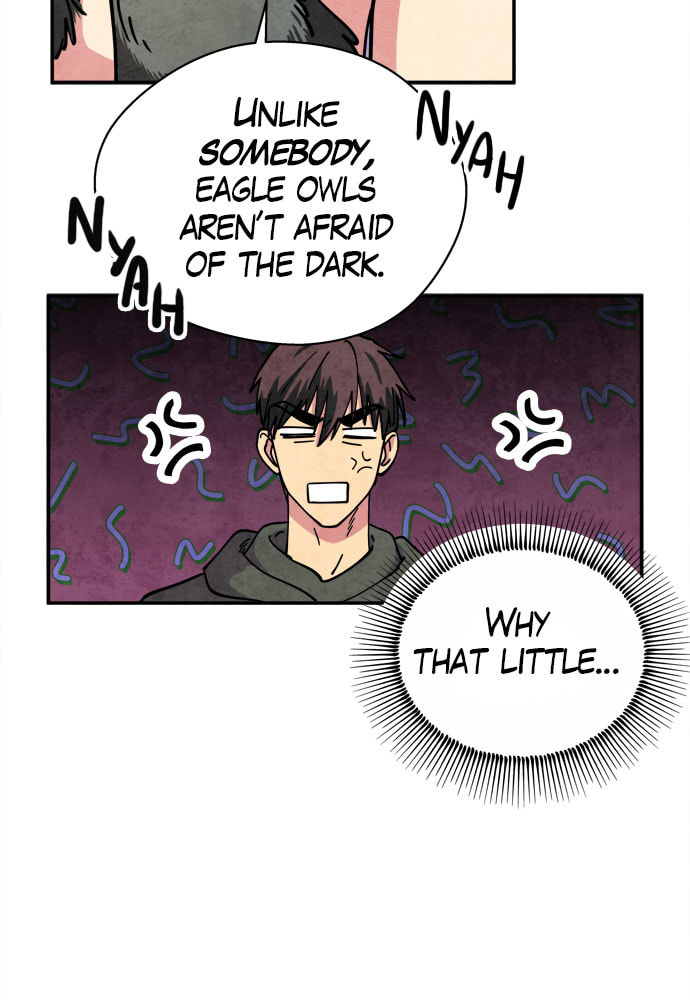 The Wolf & Red Riding Hood Chapter 24 page 37 - 