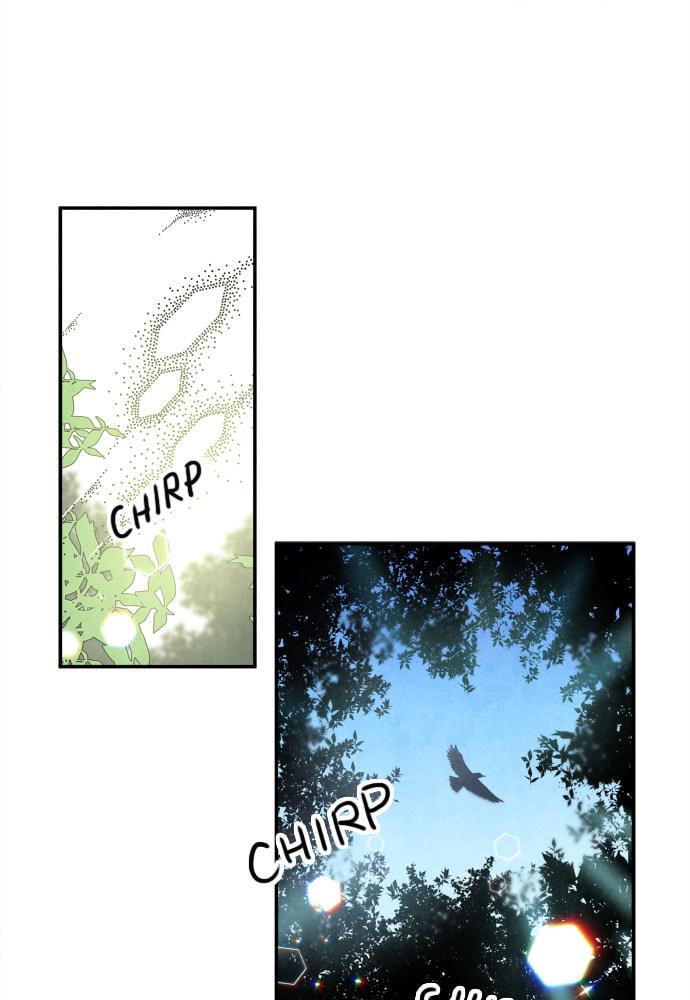 The Wolf & Red Riding Hood Chapter 25 page 2 - 