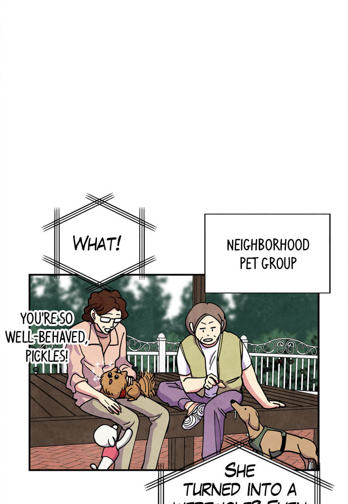 The Wolf & Red Riding Hood Chapter 26 page 29 - 
