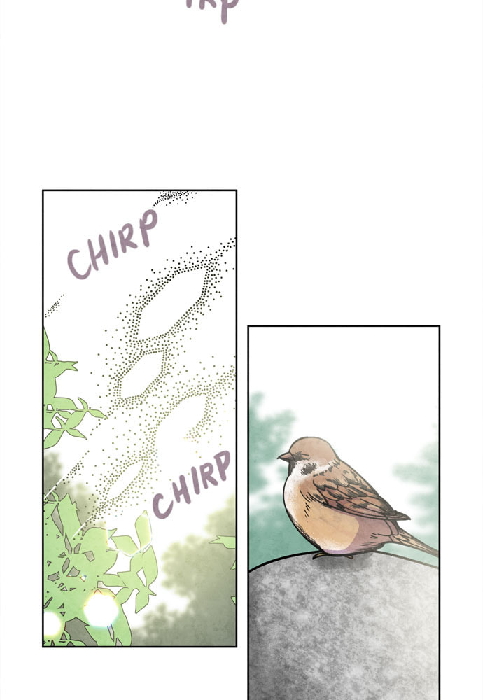 The Wolf & Red Riding Hood Chapter 27 page 55 - 