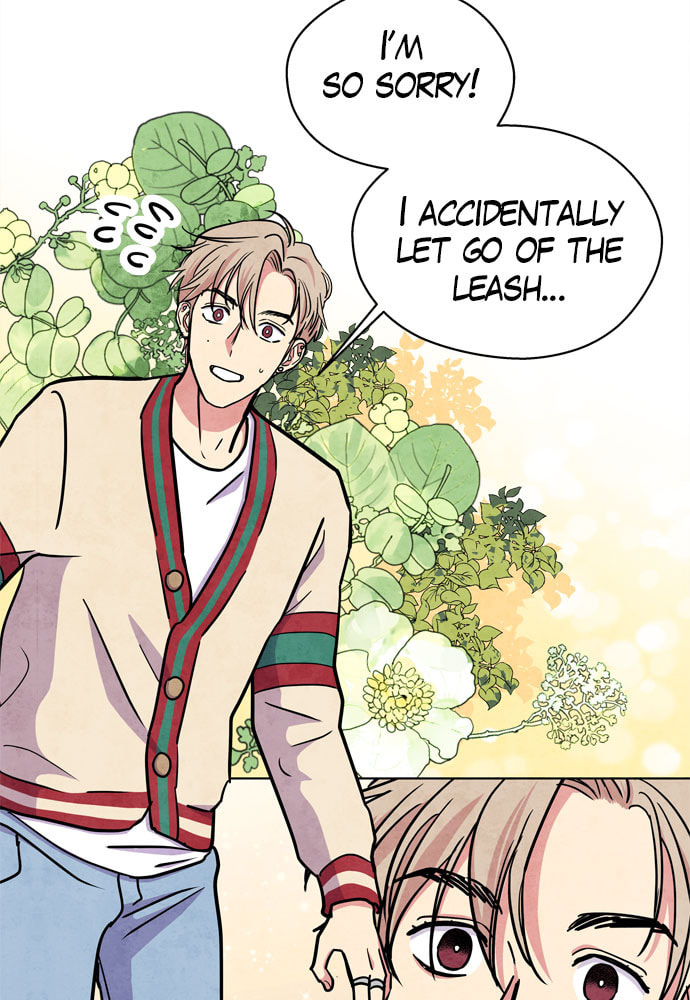 The Wolf & Red Riding Hood Chapter 28 page 12 - 