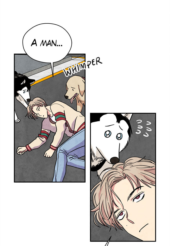 The Wolf & Red Riding Hood Chapter 28 page 30 - 