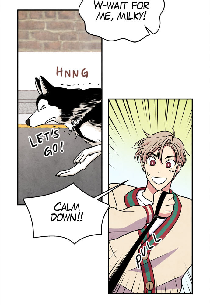 The Wolf & Red Riding Hood Chapter 28 page 63 - 