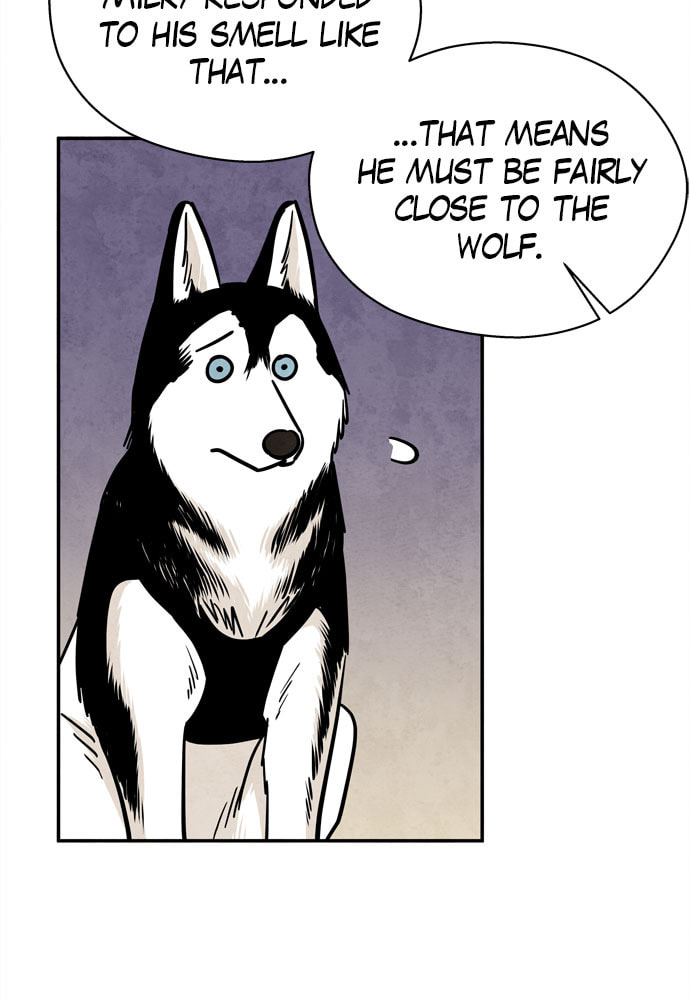 The Wolf & Red Riding Hood Chapter 28 page 72 - 
