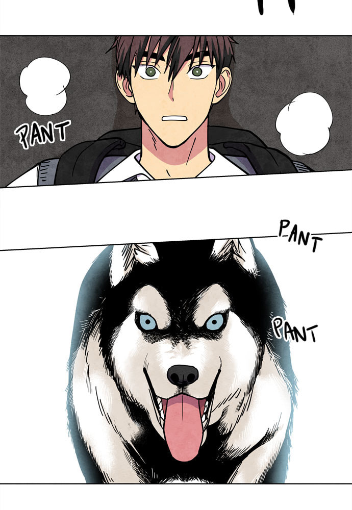 The Wolf & Red Riding Hood Chapter 28 page 9 - 