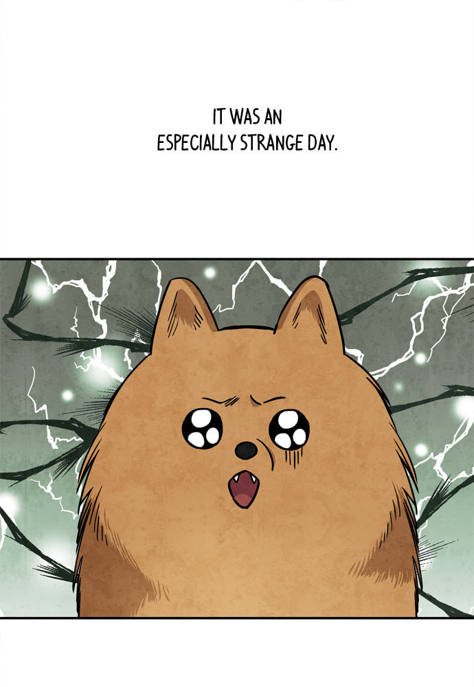 The Wolf & Red Riding Hood Chapter 31 page 11 - 