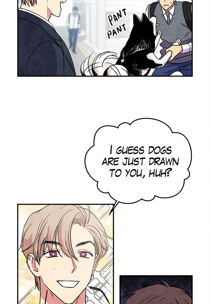 The Wolf & Red Riding Hood Chapter 32 page 33 - 