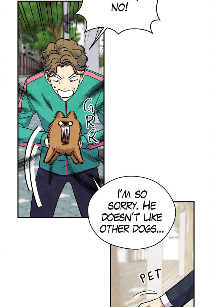 The Wolf & Red Riding Hood Chapter 33 page 54 - 