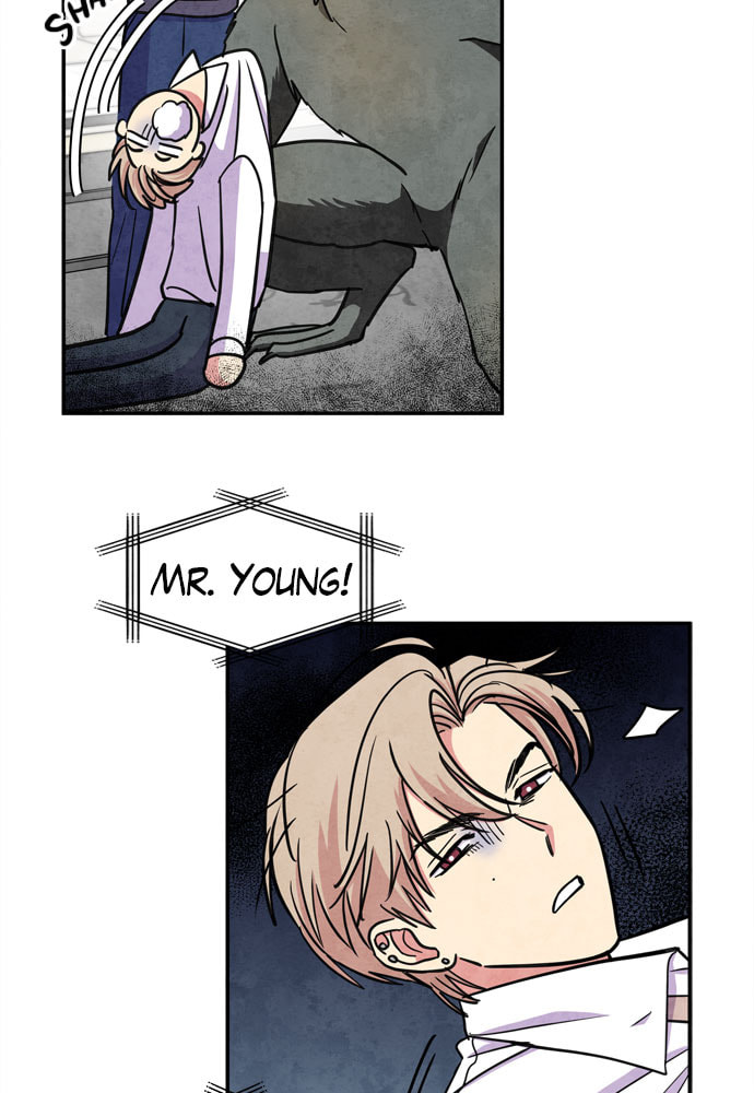 The Wolf & Red Riding Hood Chapter 35 page 11 - 