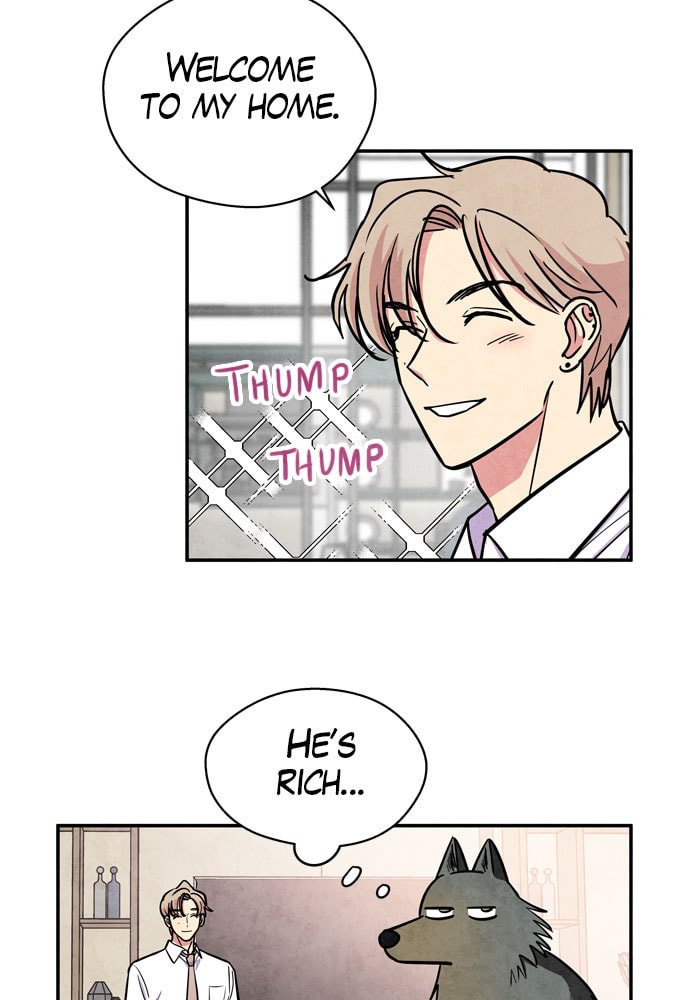 The Wolf & Red Riding Hood Chapter 36 page 11 - 