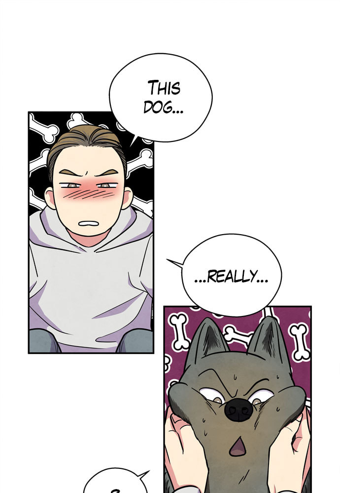The Wolf & Red Riding Hood Chapter 38 page 25 - 