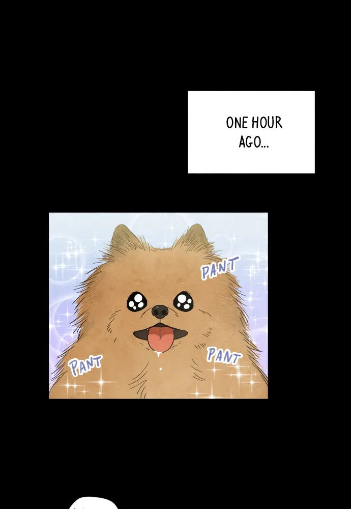 The Wolf & Red Riding Hood Chapter 4 page 39 - 