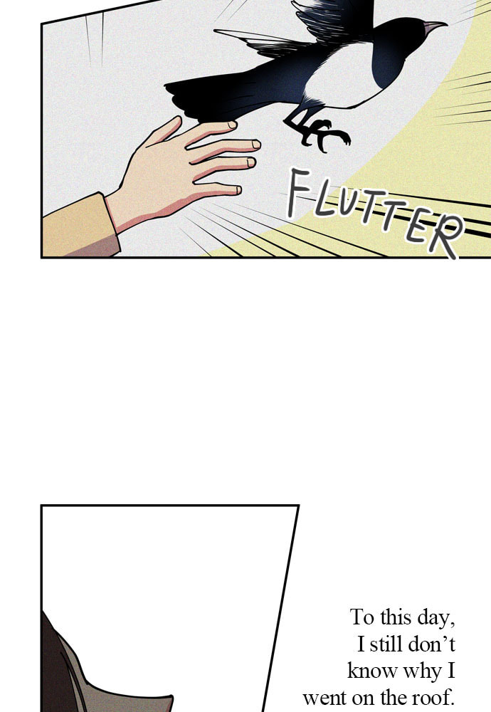 The Wolf & Red Riding Hood Chapter 42 page 79 - 