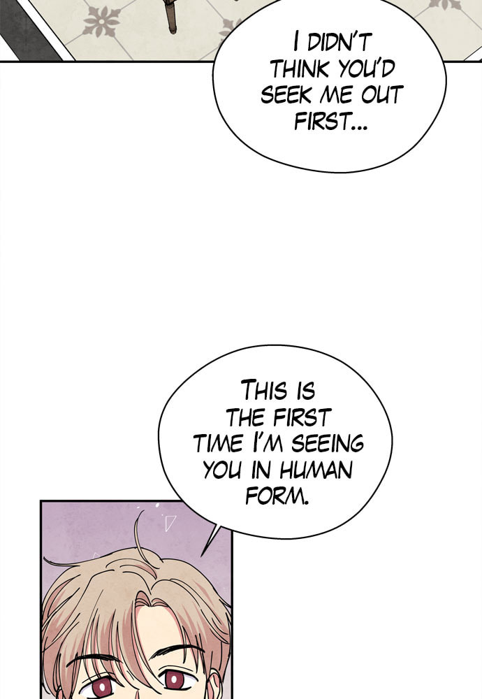 The Wolf & Red Riding Hood Chapter 45 page 16 - 