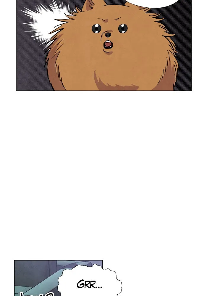 The Wolf & Red Riding Hood Chapter 5 page 11 - 