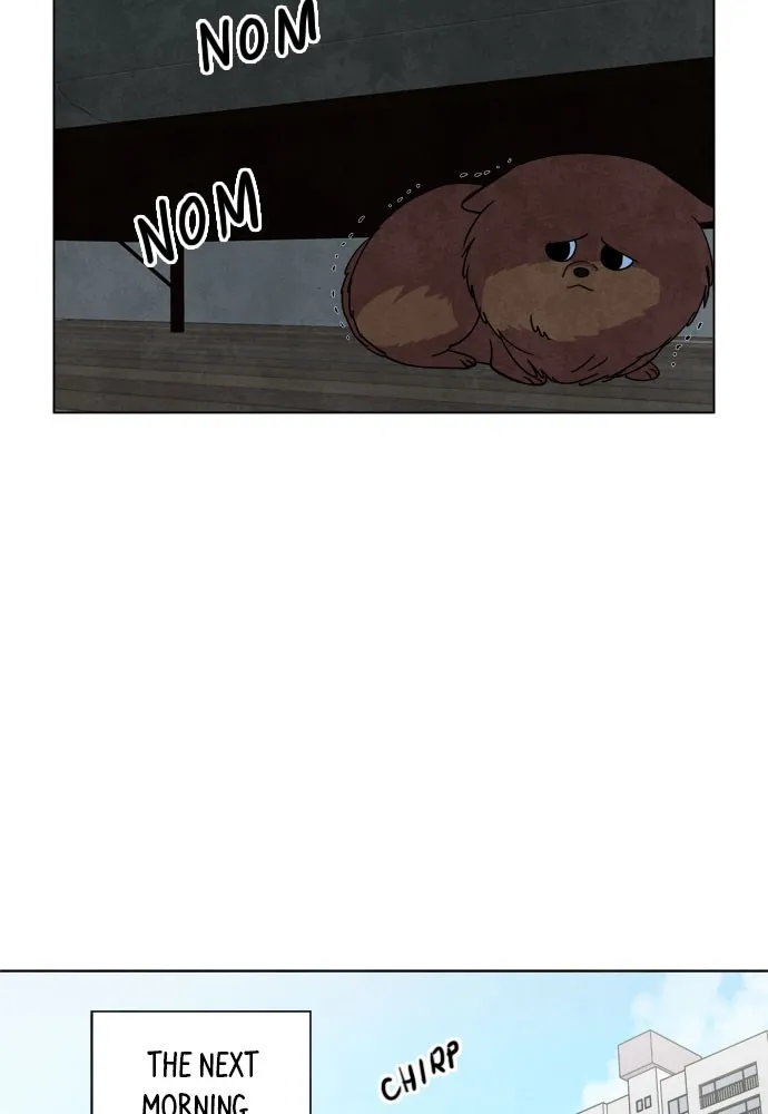 The Wolf & Red Riding Hood Chapter 5 page 21 - 