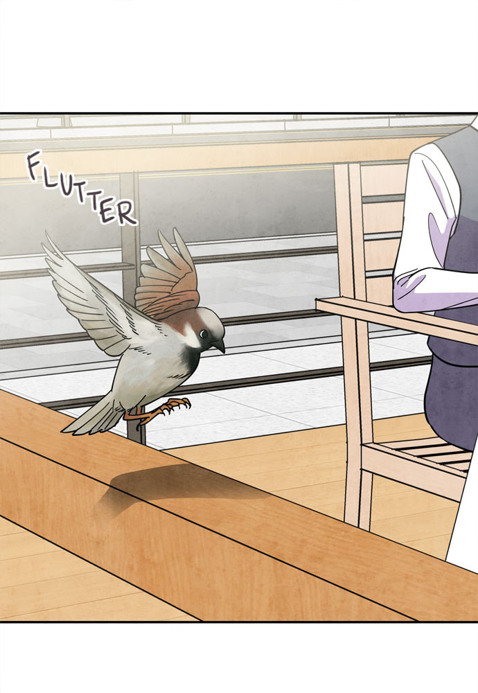The Wolf & Red Riding Hood Chapter 52 page 64 - 