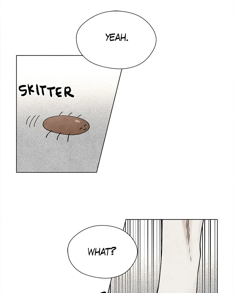 The Wolf & Red Riding Hood Chapter 6 page 38 - 
