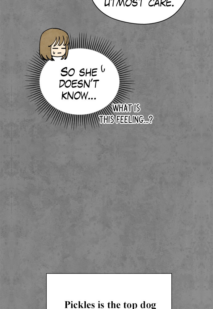 The Wolf & Red Riding Hood Chapter 63 page 31 - 