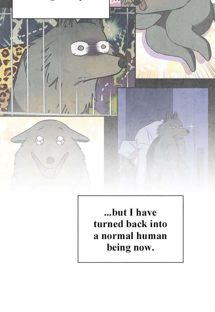 The Wolf & Red Riding Hood Chapter 63 page 61 - 