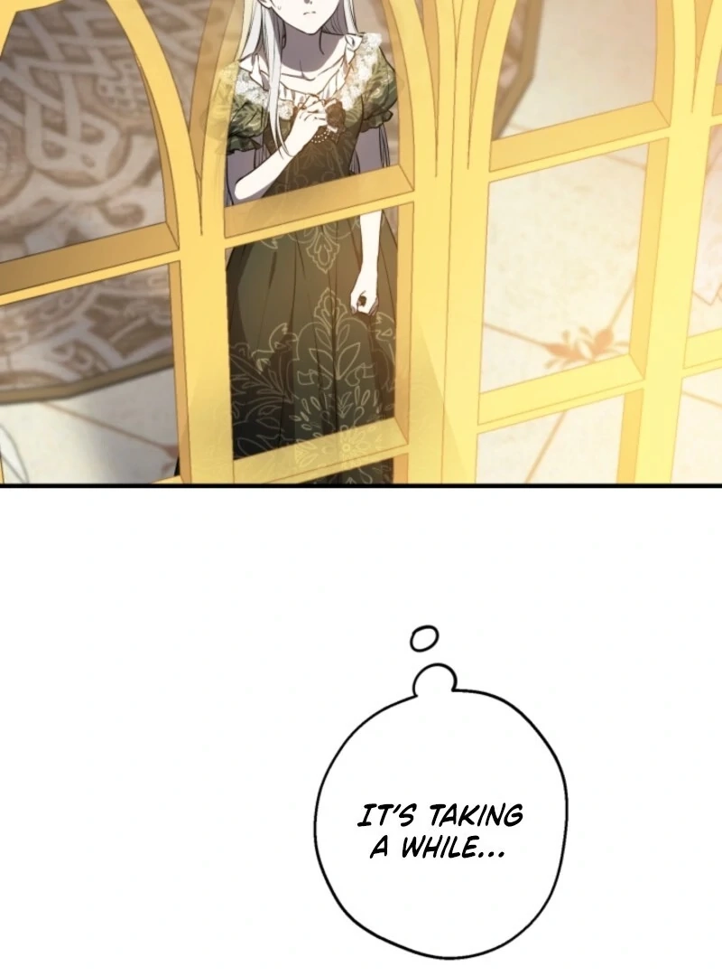 The World's Strongest Are Obsessed With Me Chapter 146 page 51 - 