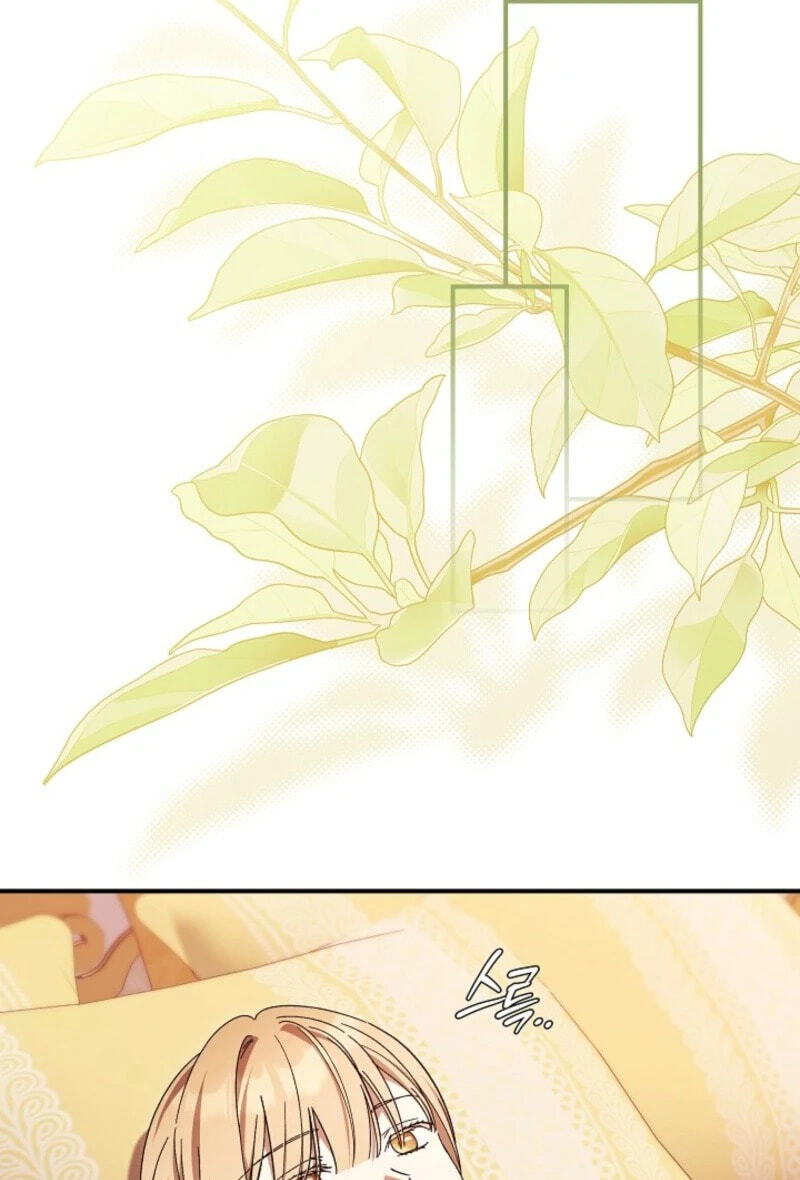 The Young Lady Who Broke Her Engagement Is Only Obsessed With the Ending Chapter 103 page 68 - 