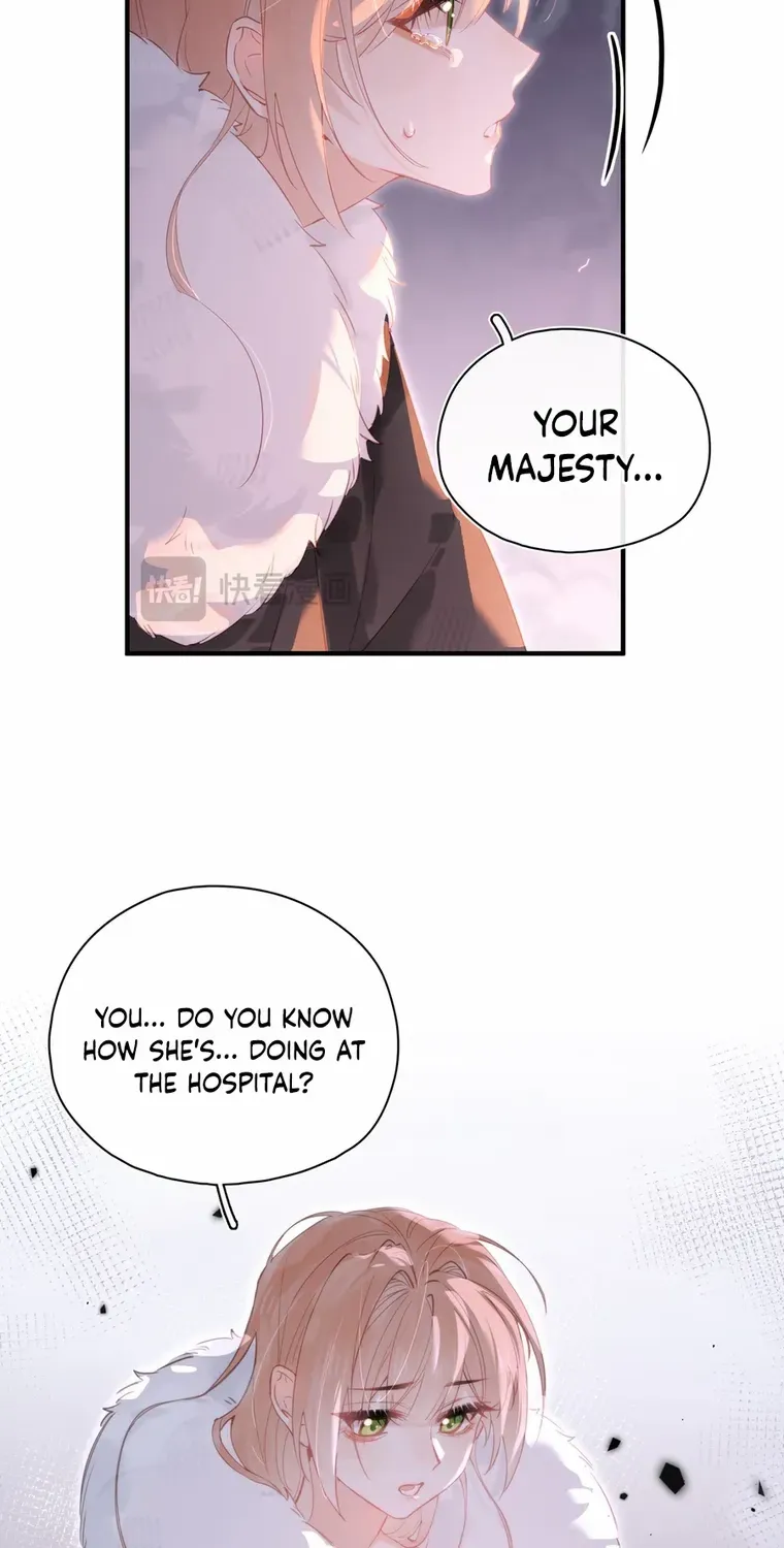 Their Trap Chapter 25 page 41 - 