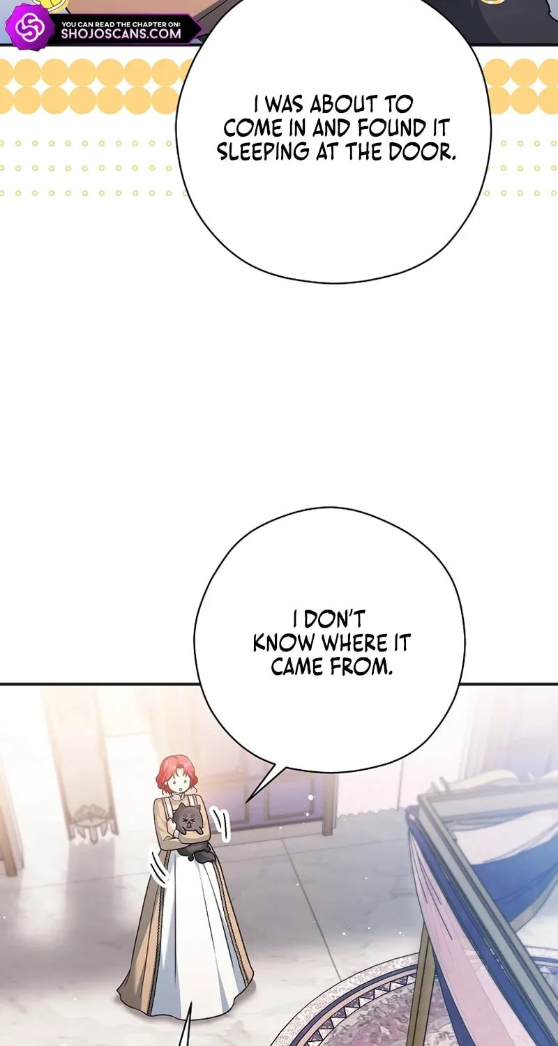 There Is No Need For the Tyrant Second Male Lead's Obsession Chapter 16 page 45 - 
