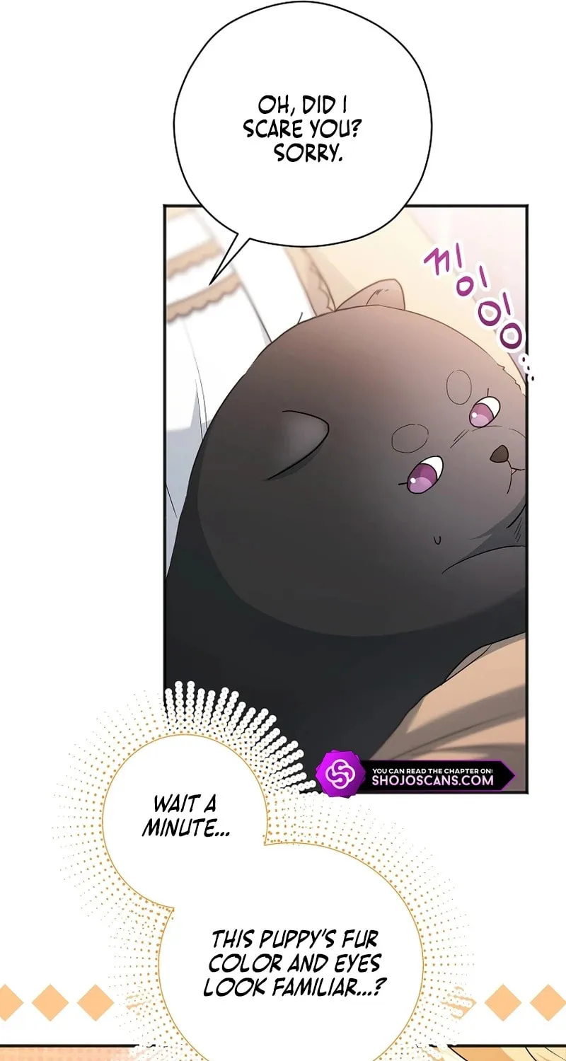 There Is No Need For the Tyrant Second Male Lead's Obsession Chapter 16 page 48 - 