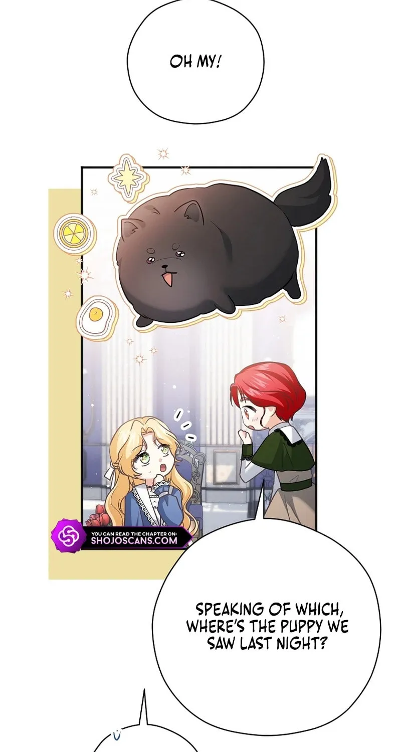 There Is No Need For the Tyrant Second Male Lead's Obsession Chapter 17 page 27 - 