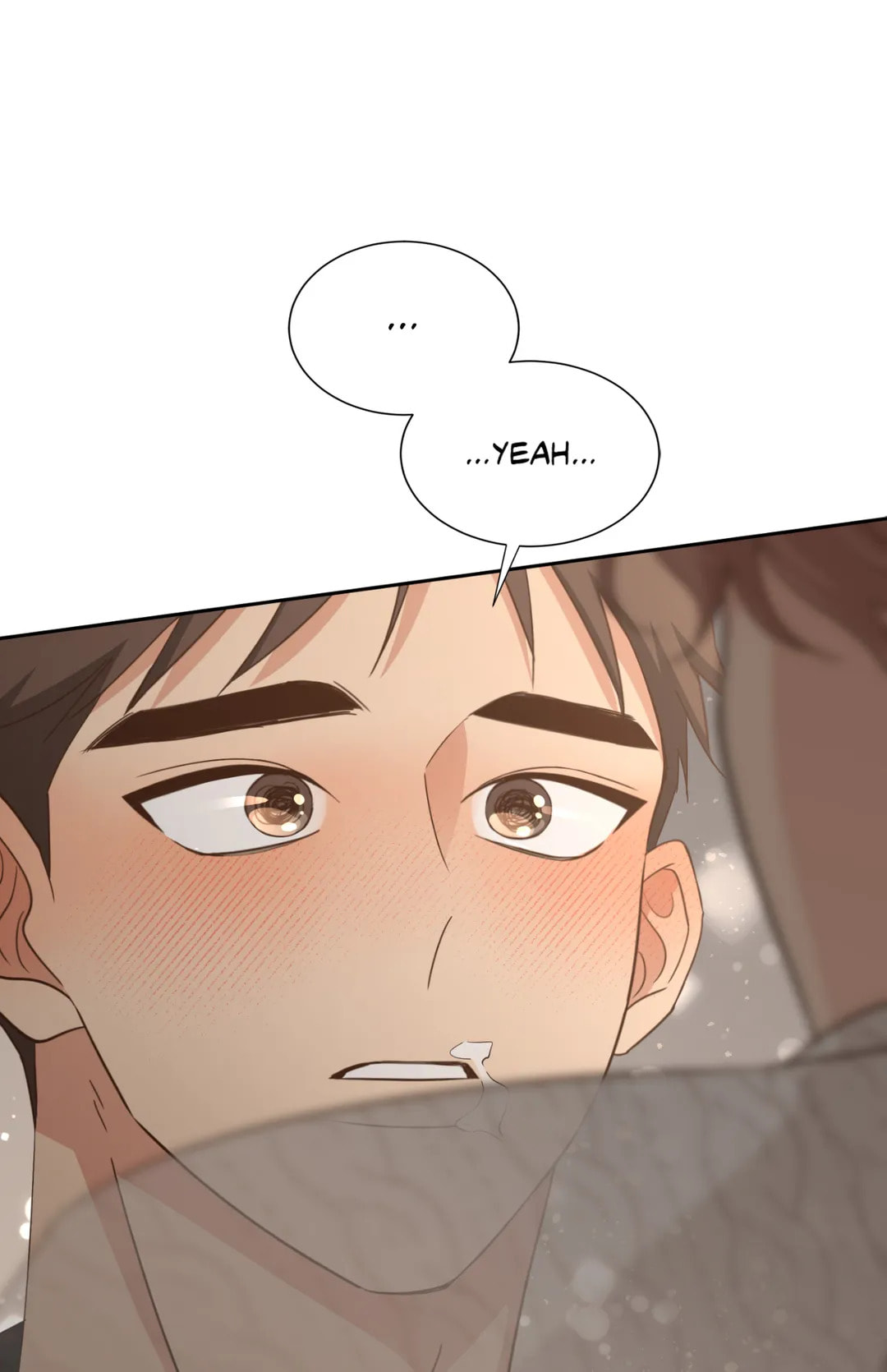 Third Ending Chapter 67.1 page 41 - 
