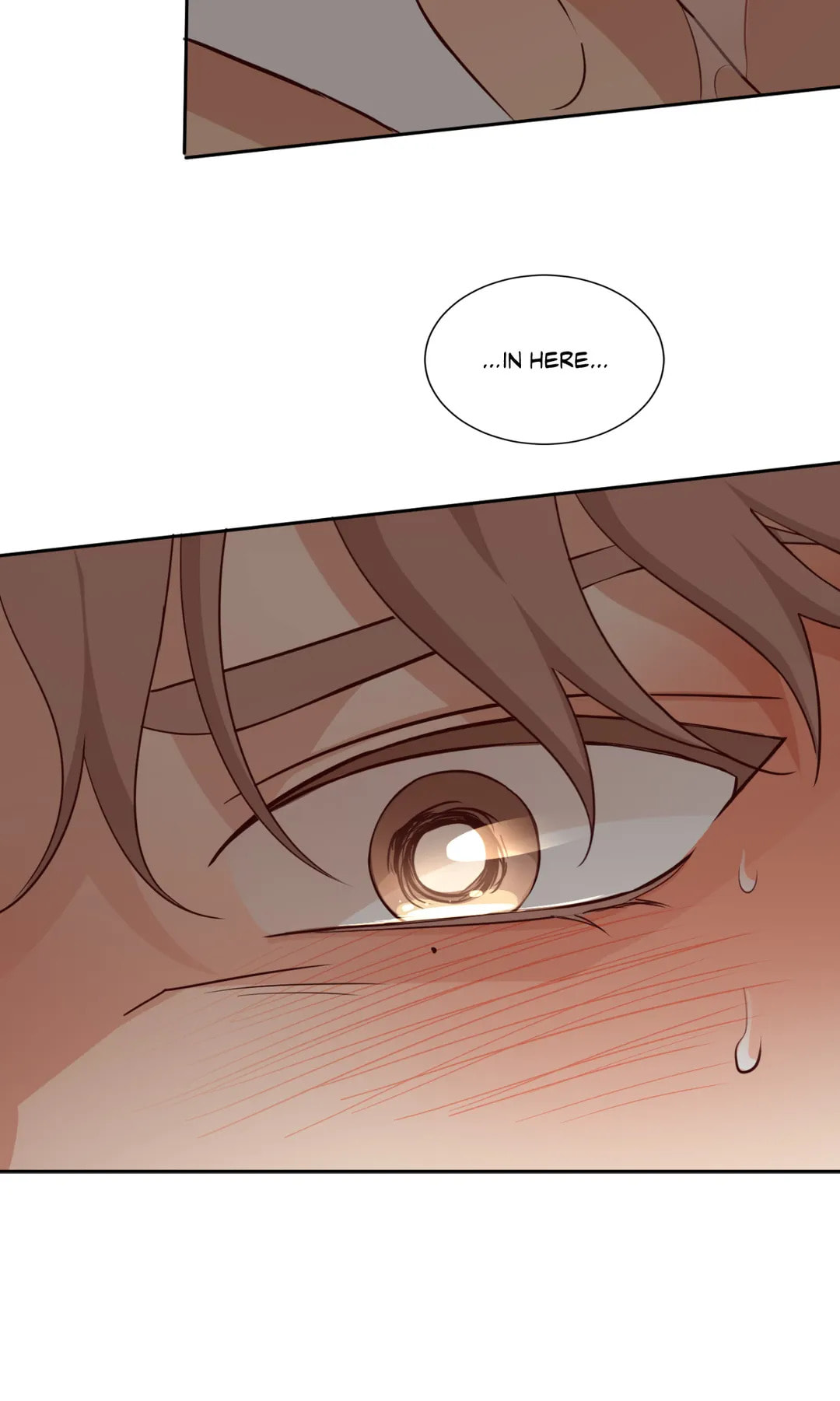 Third Ending Chapter 67.1 page 68 - 