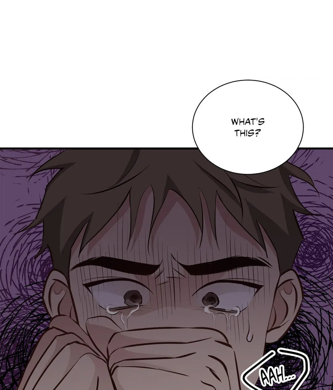 Third Ending Chapter 67.8 page 109 - 