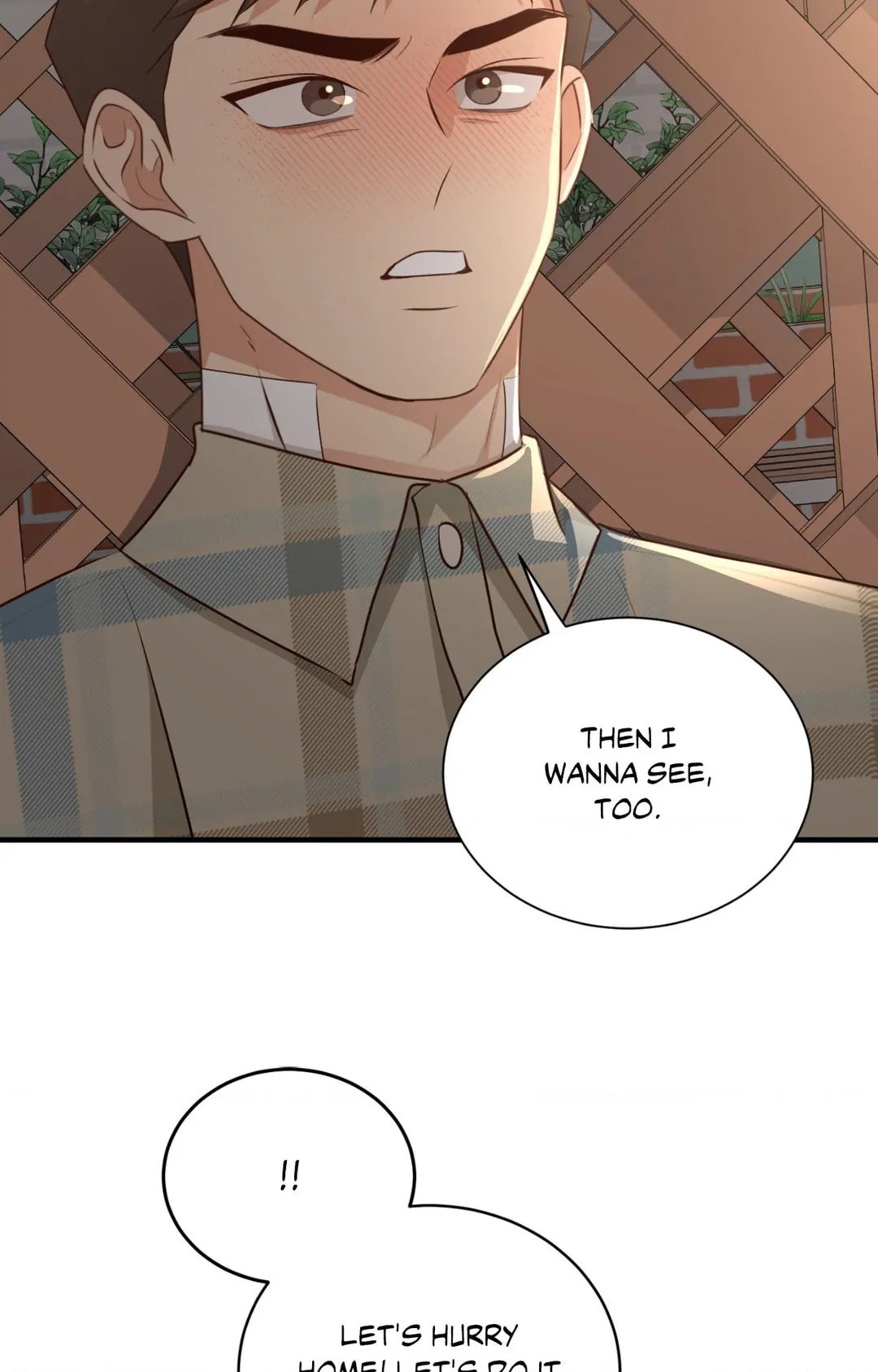 Third Ending Chapter 67.9 page 78 - 