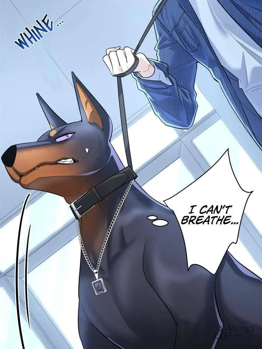 This Man Is a Real Dog Chapter 13 page 78 - 