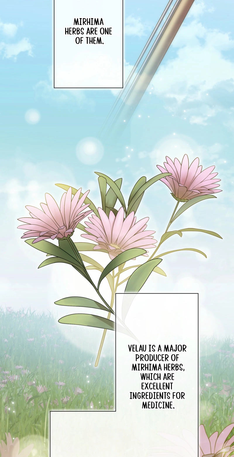 This Obsessive Love Runs Deeper Than Blood Chapter 48 page 12 - 