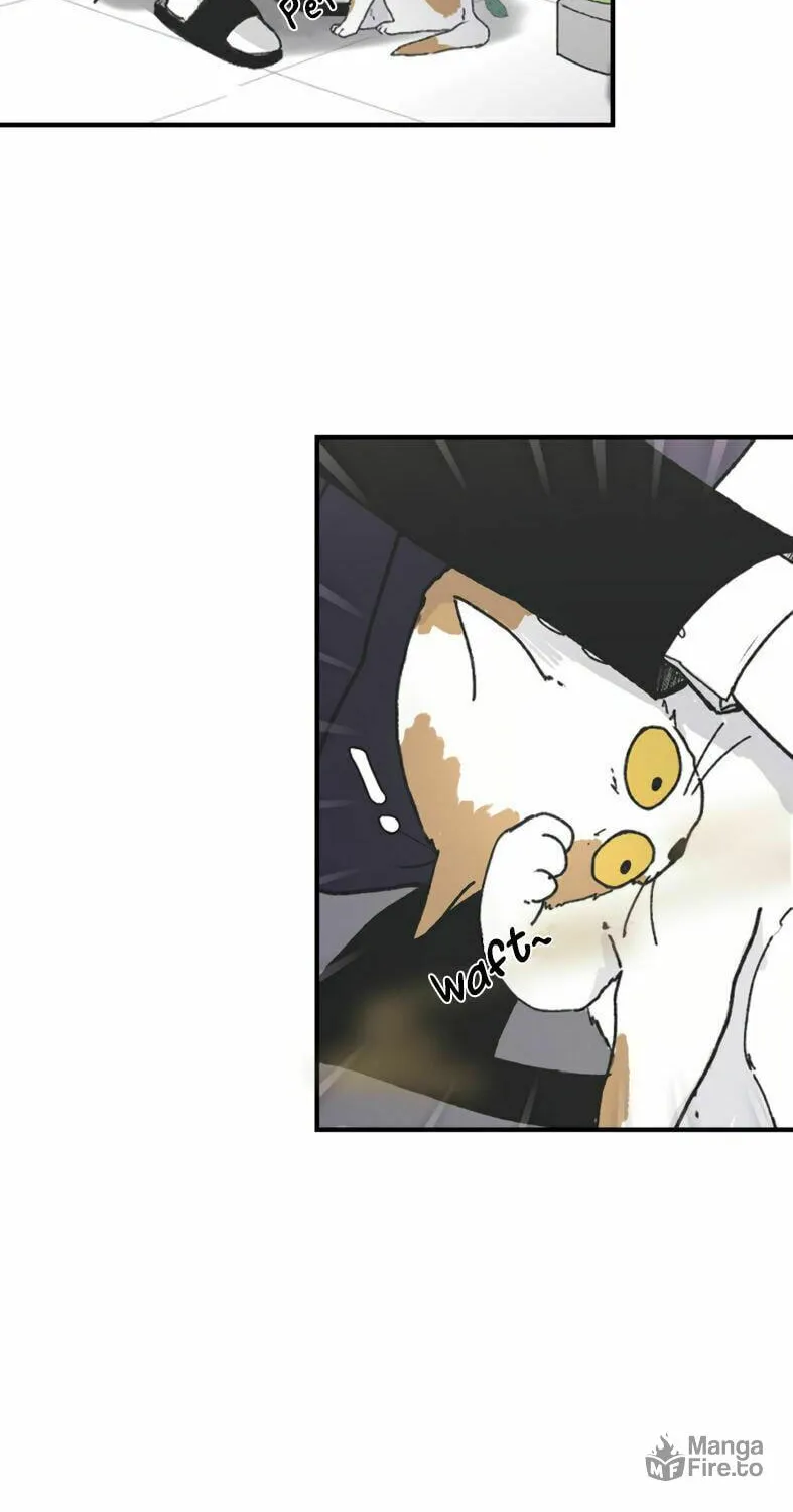 Three B(r)others Chapter 4 page 24 - 