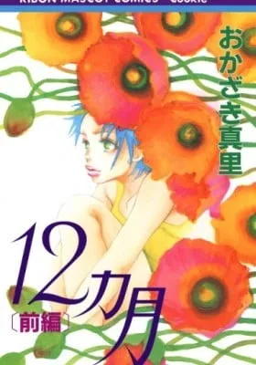 Cover of 12 Months