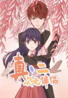 Cover of 2D Partner