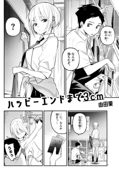 Cover of 3cm From Happy End