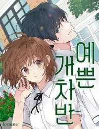 Cover of A Beautiful Wreck
