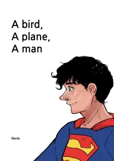Cover of A bird, A plane, A man