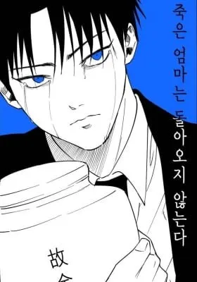 Cover of A Dead Mother Doesn't Come Back