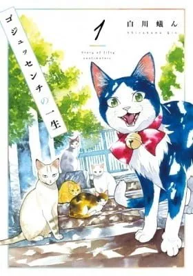 Cover of A Story of Seven Lives