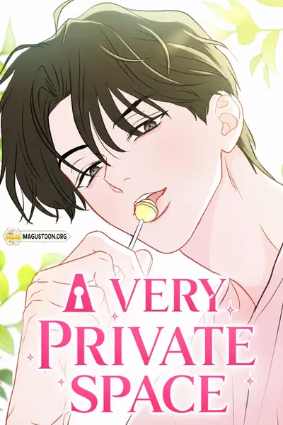 Cover of A Very Private Space
